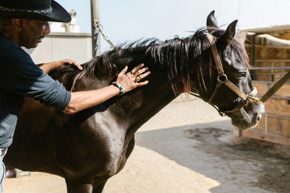 Travelers should visit Texas for a cowboy vacation.