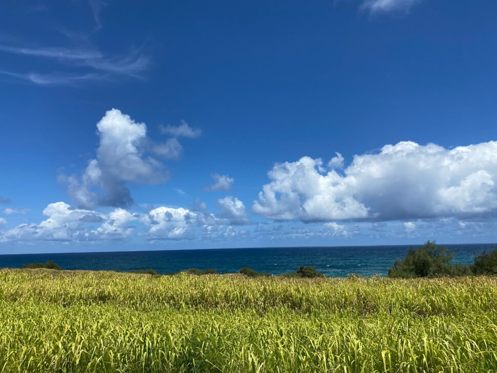Hawaiian distance with a shore in view.