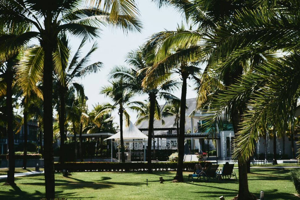 A park with palm trees in Hawaii's Big Island.