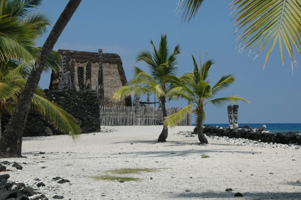 A sandy beach with palm trees.