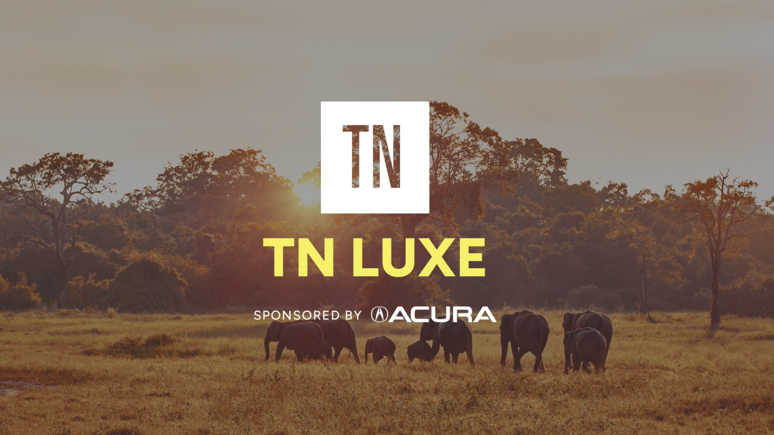 Glamping Like Royalty: The Best Luxury Safari Camps In Africa