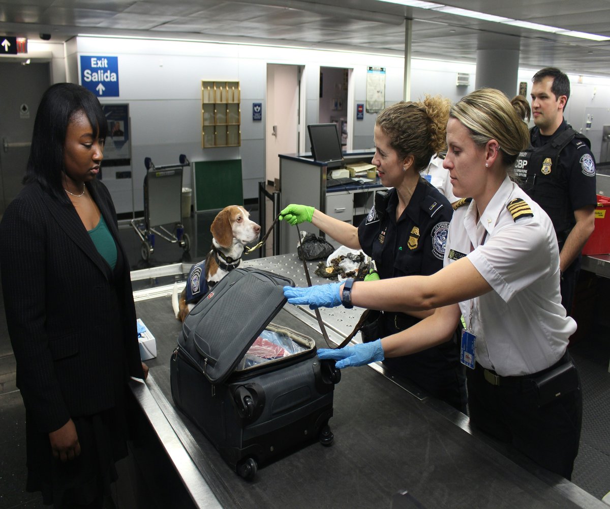 Knowing Your Border Rights: An Essential Guide For All Travelers