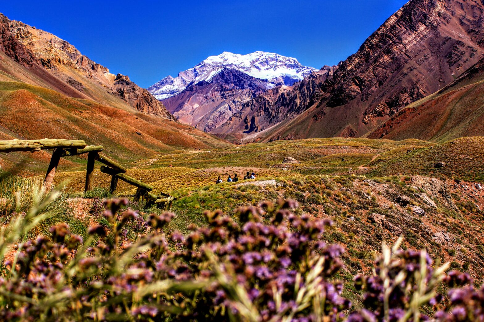 field view of the Andes Mountains in Mendoza, Argentina