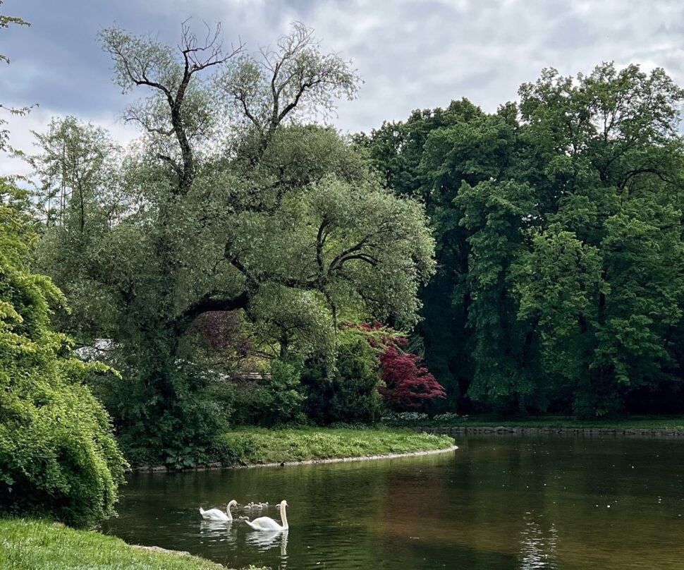 The English Garden in Munich