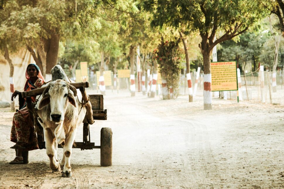 Bikaner India
