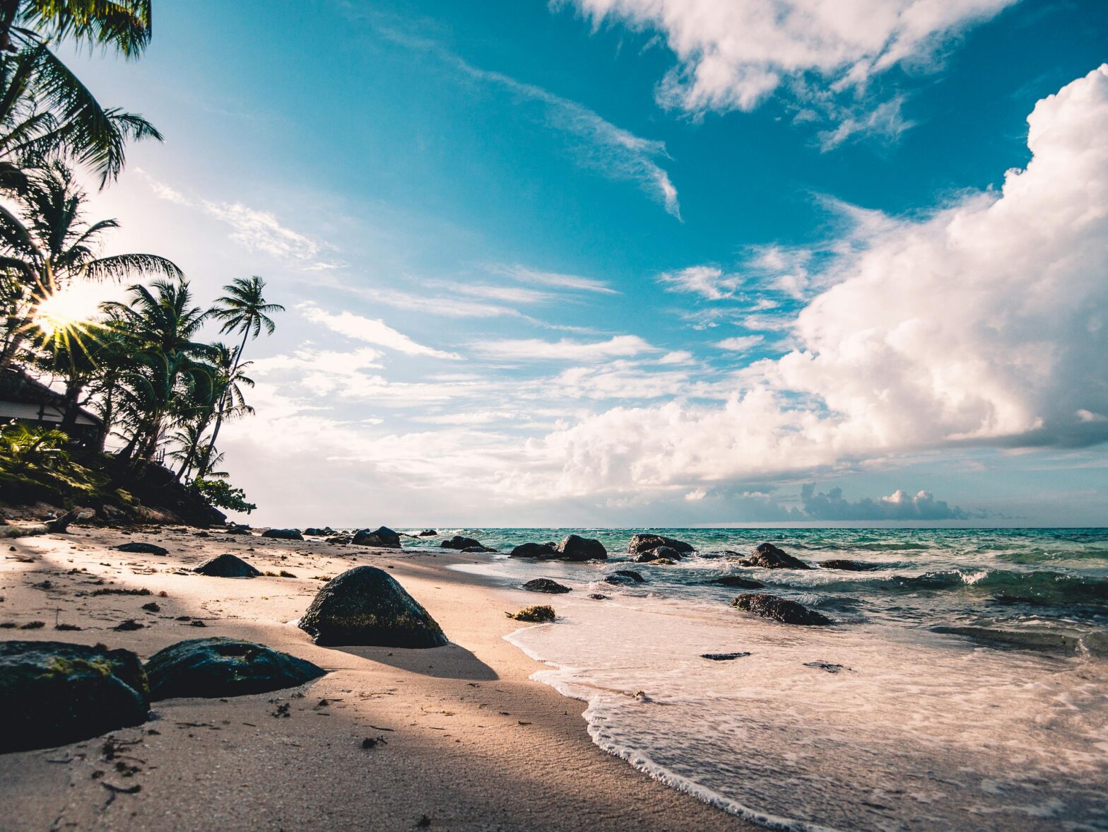 New Report Reveals 80% Of Tested US Beaches Have High Bacteria Rates