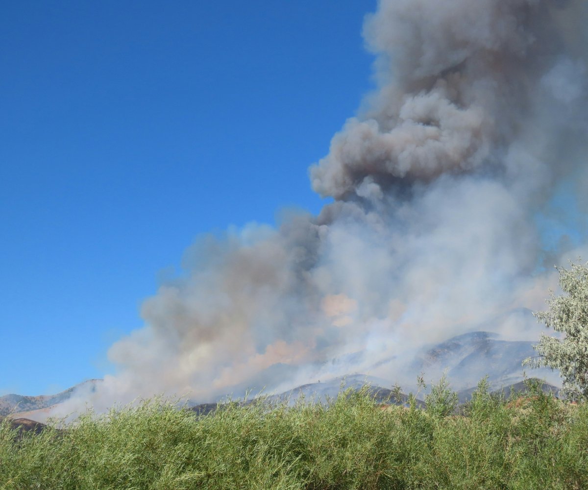 Maui Fire Ravages 330 Acres Of Hawaiian Homestead Lands, Forcing Evacuations