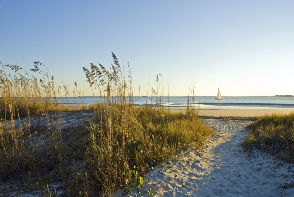 sand pathway leading to beach on Hilton Head Island, South Carolina