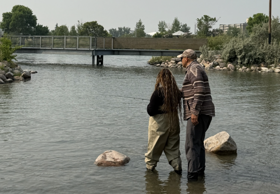 Urban Fly Fishing in Bow River in Calgary, Alberta.