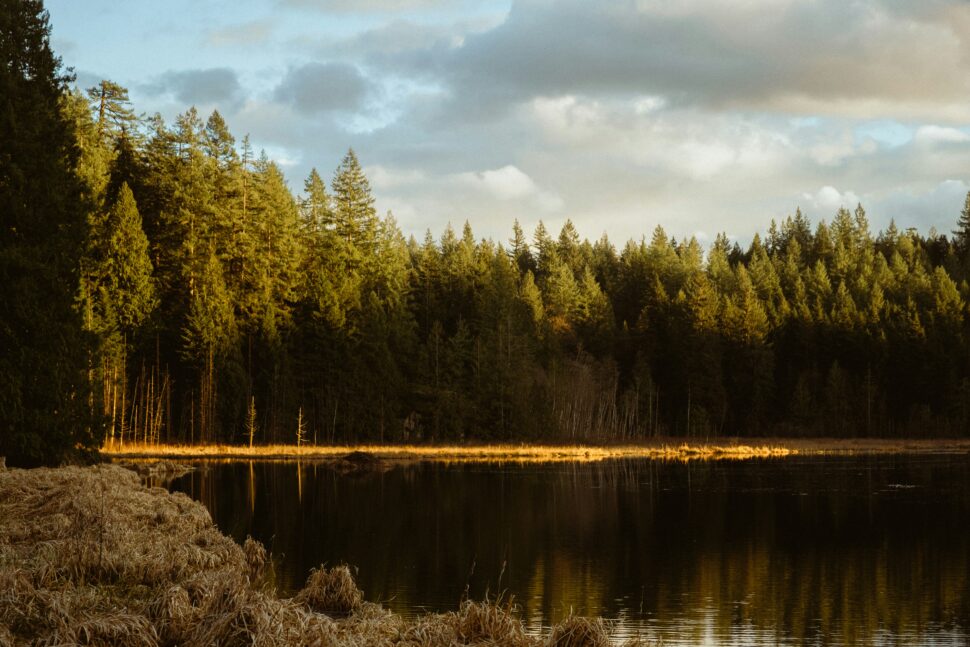 The stunning Maple Ridge area is where “Smoke” was filmed.