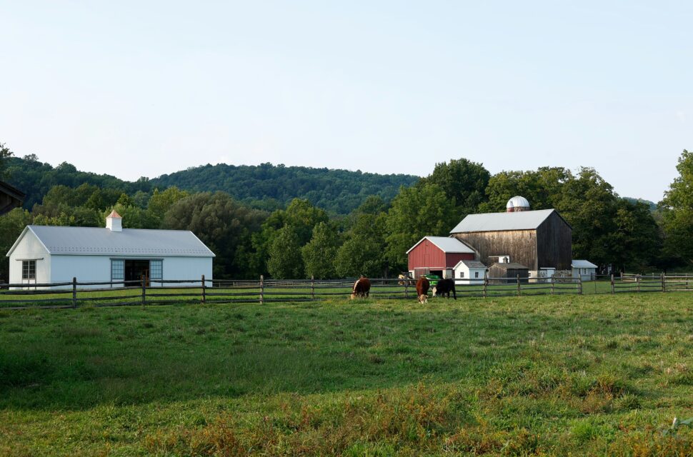 This surprising locale is where ‘Echo Valley’ was filmed.