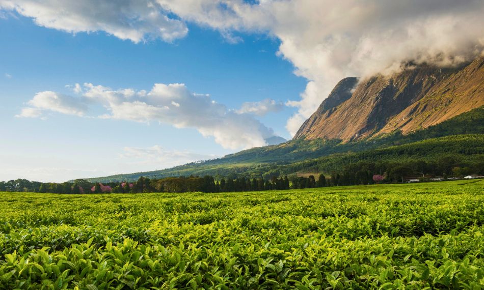 UNESCO Expands World Heritage List With 26 New Sites In 2025