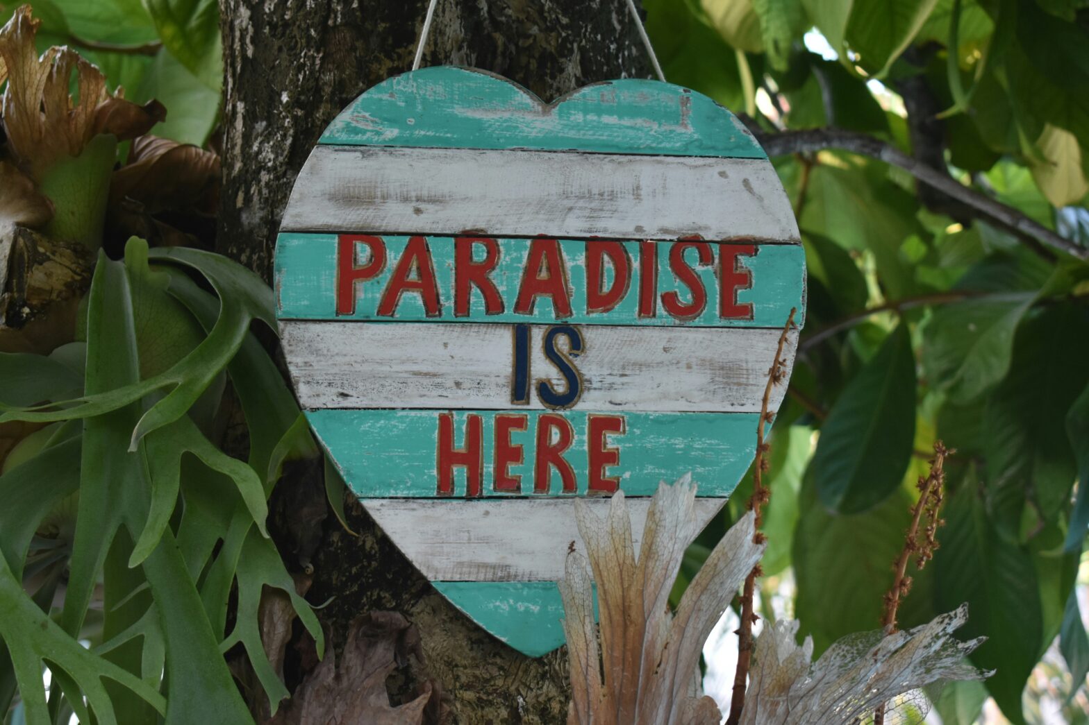 A New Era – 'Bachelor In Paradise' Filming Location Moves To Costa Rica's Azura Beach Resort