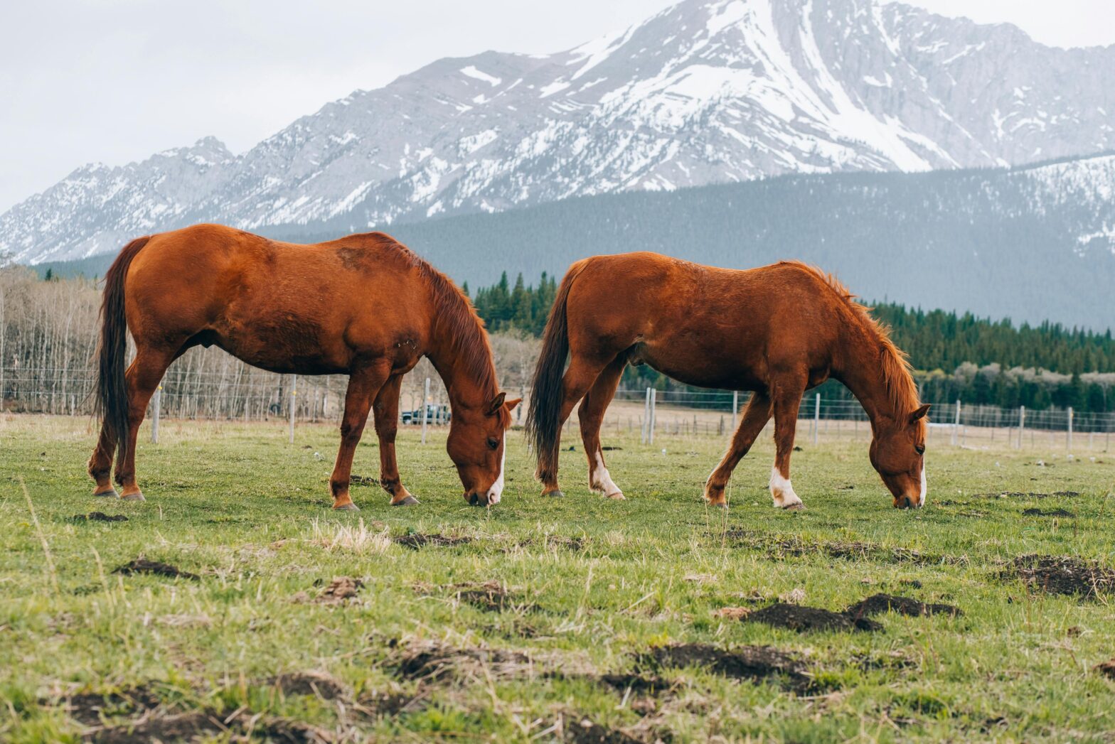 Go Off-Grid Near Calgary, Alberta While Visiting 'Back to the Frontier' Filming Locations