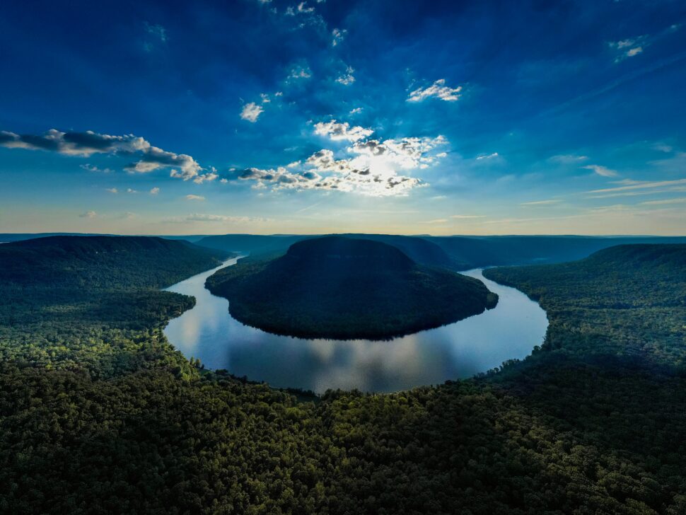 Aerial of Photo of Forest and Body of Water