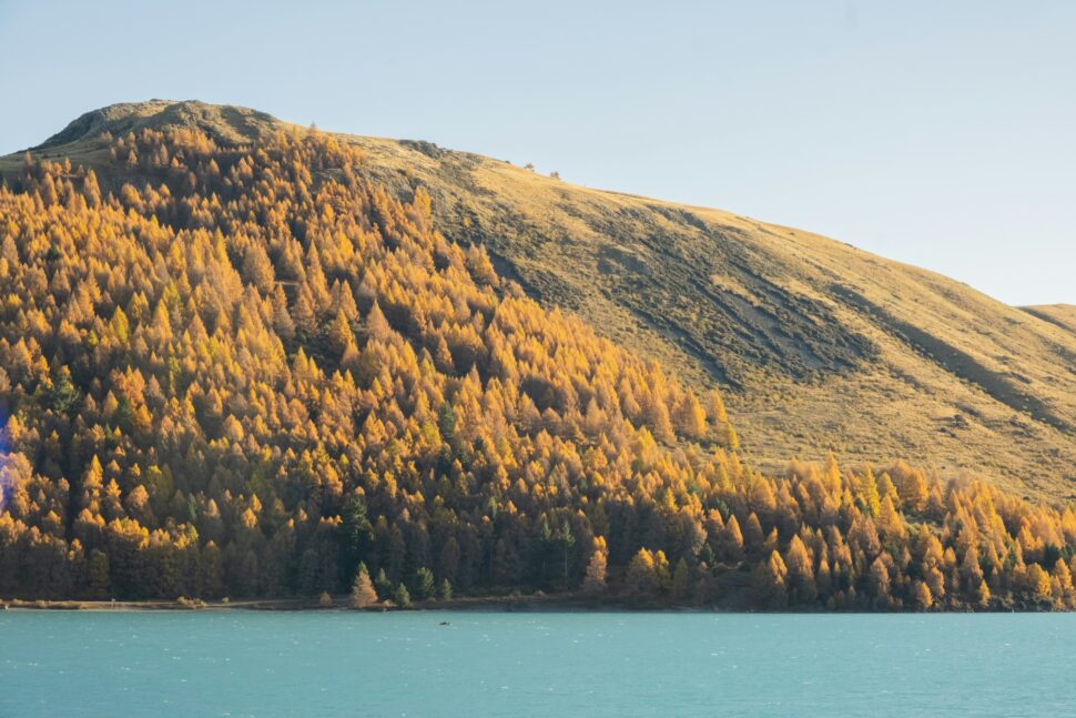 Lake Tekapo, New Zealand