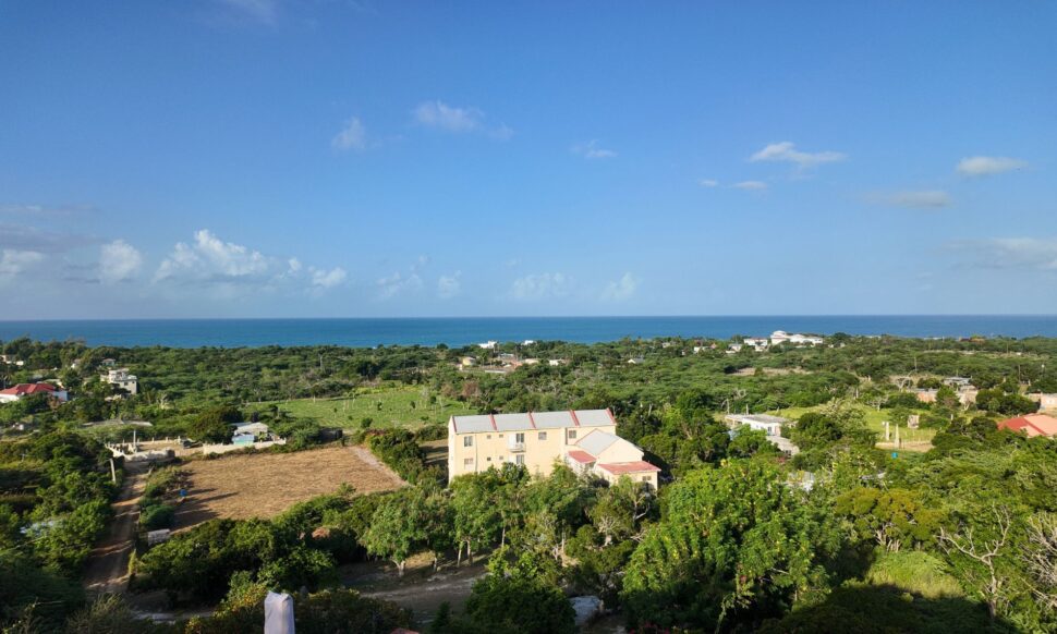 aerial view of Treasure Beach Jamaica from hilltop during the day