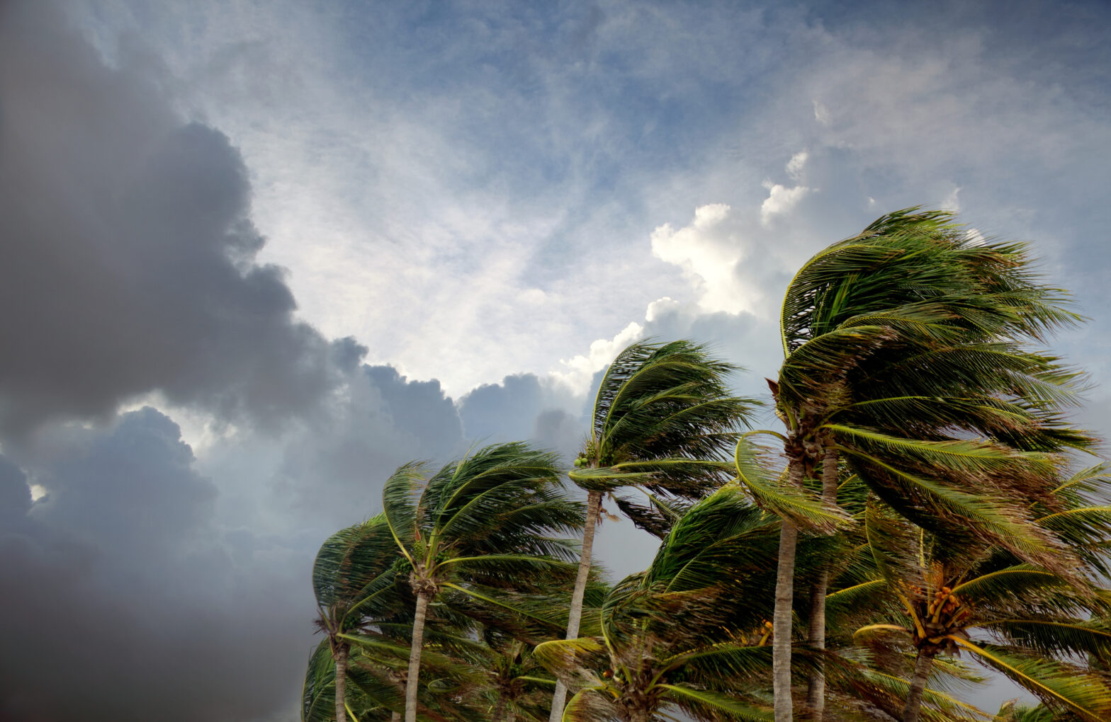 Tropical Storm Erin Could Be A Hurricane By Later This Week – What To Know