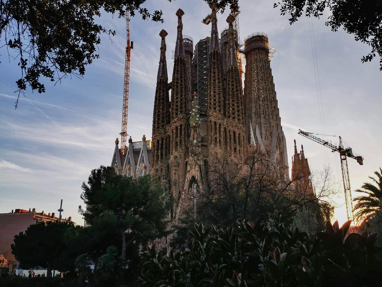 World's Best Things To Do, According To TripAdvisor