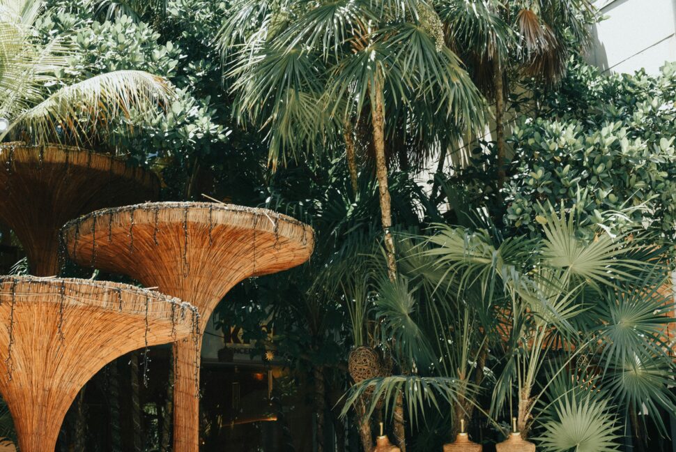 Mexico is the “Perfect Match” season three filming location.