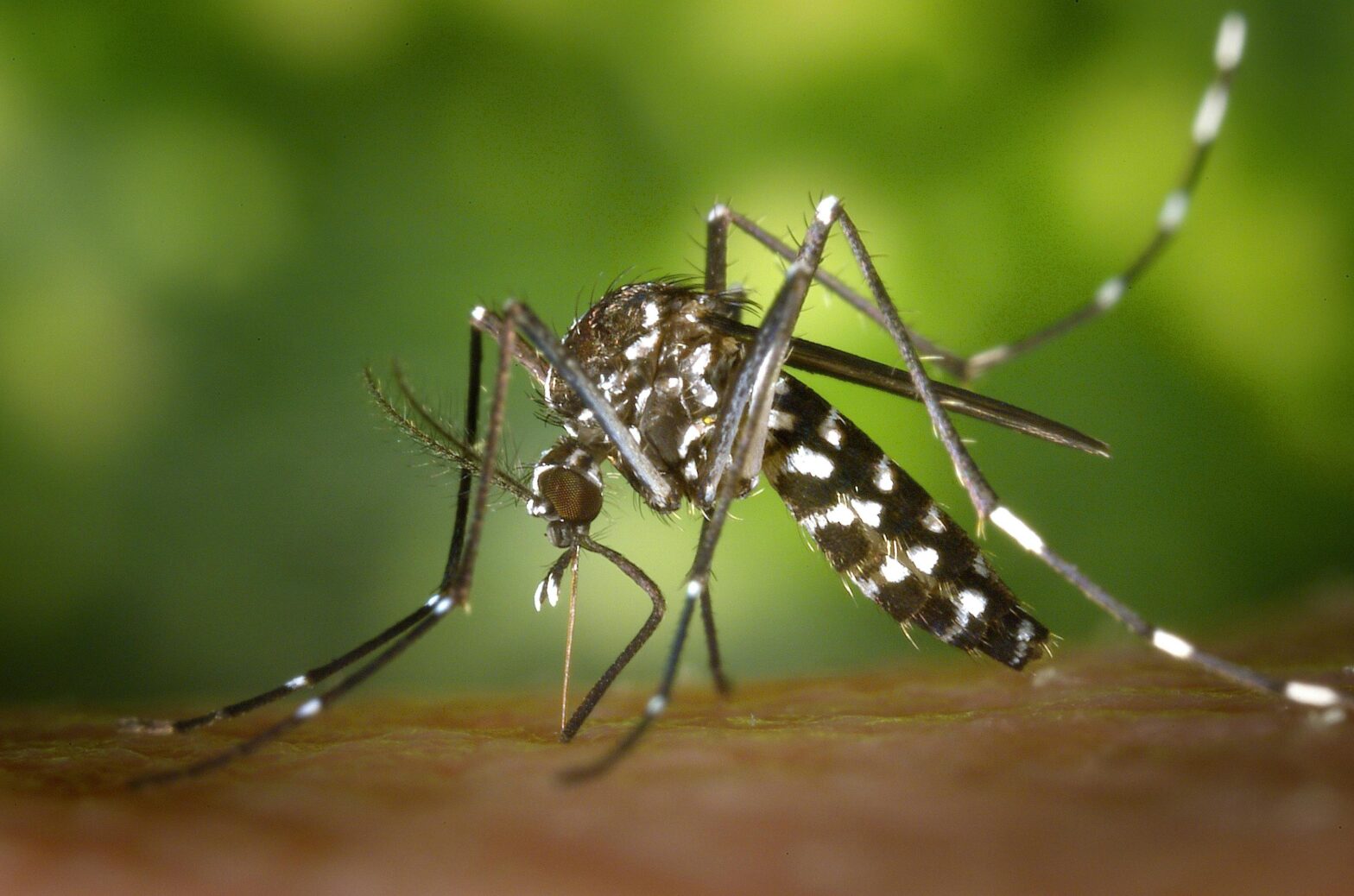 CDC Considers Travel Notice For China Due To Outbreak Of This Potentially Deadly Virus