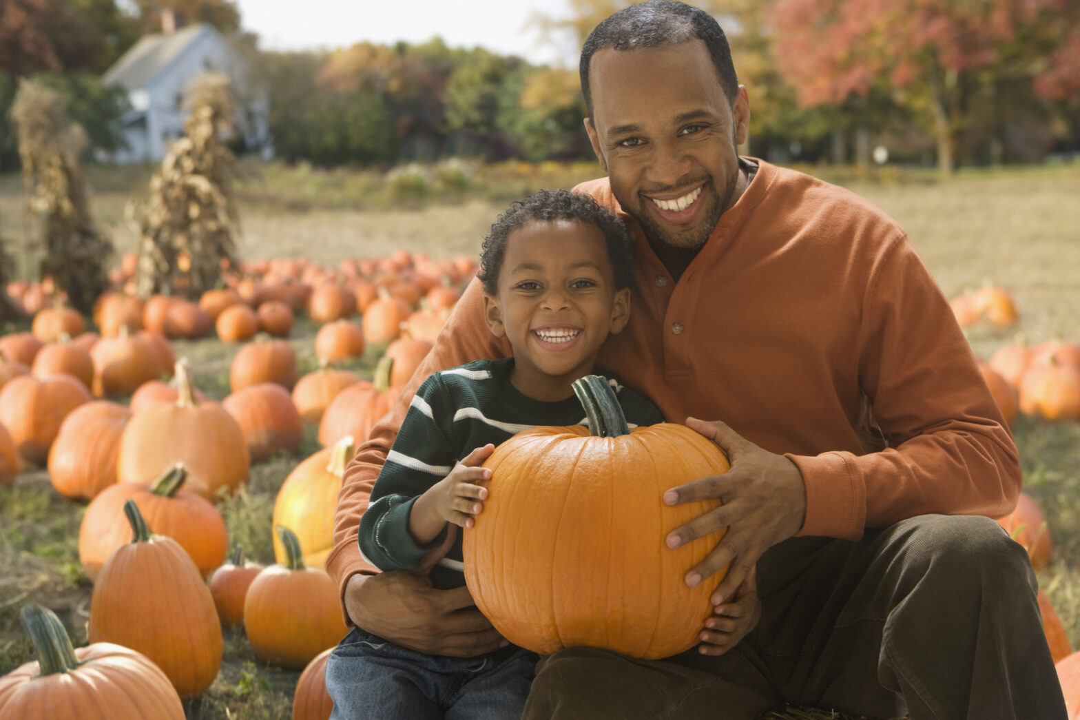 The 6 Best Places For Pumpkin Picking Around The U.S.